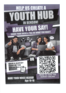 Youth Hub Survey